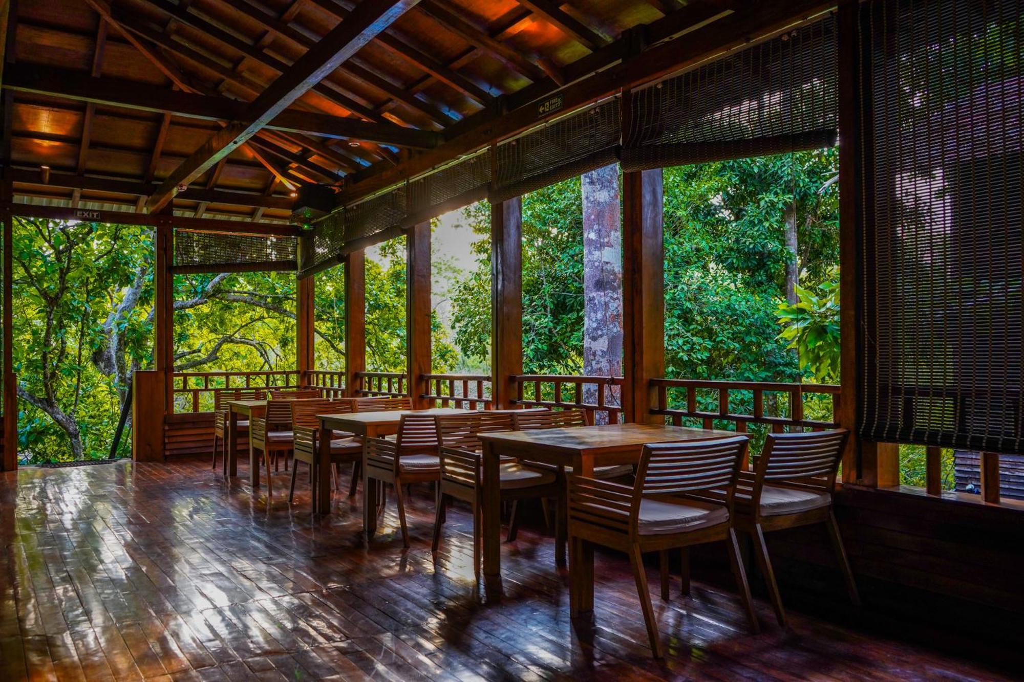 De Foret Elephant Beach エクステリア 写真