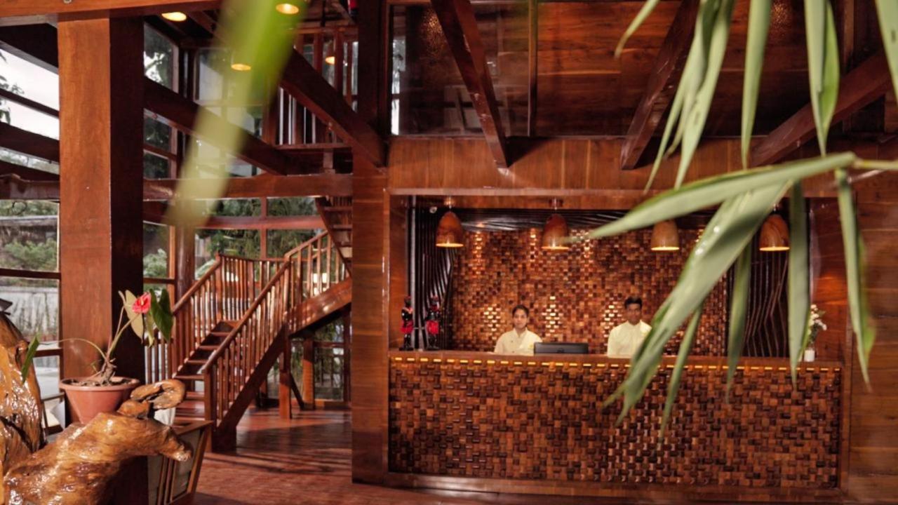 De Foret Elephant Beach エクステリア 写真